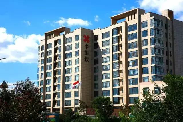 细软网:刷新行业标准,开创知产自助服务新篇章