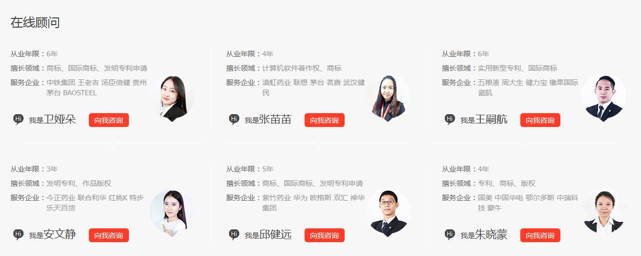 细软网:刷新行业标准,开创知产自助服务新篇章