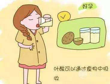 怀孕前应该如何科学的补充叶酸,怀孕10周补充叶酸来得及吗