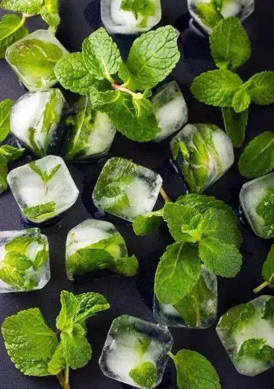 薄荷种盆,现在种绿色植物