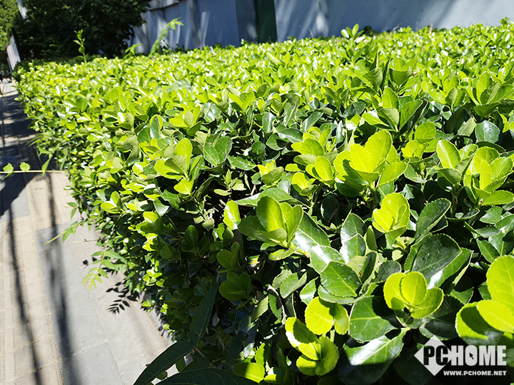 人工智能美颜自拍,美图m8最新版本