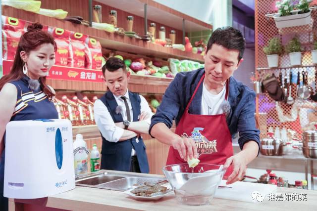 谁是你的菜最新版本,张萌戴军谁是你的菜