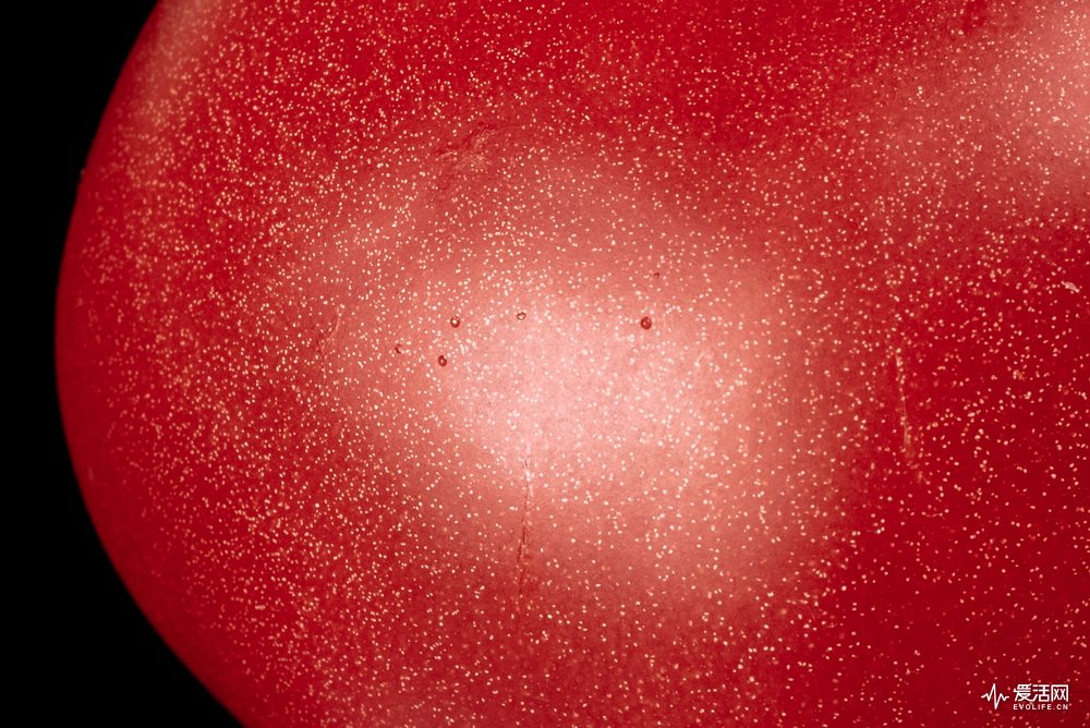 飞利浦和欧乐b电动牙刷哪个好,欧乐b与飞利浦电动牙刷哪个好