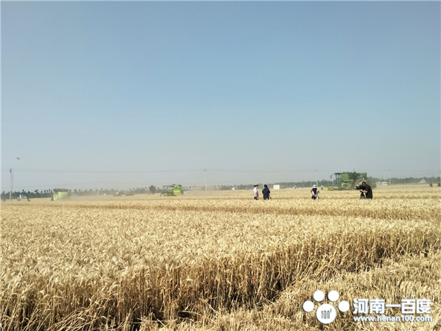 唐河产粮全国第几,河南省唐河县的发展