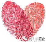 大眼微拍丨昨天的桃花岛上万人同过520，记者小哥却发现了另一类“风月无边”