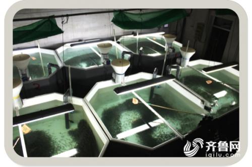 端午节旅游攻略自驾游山东,端午小长假适合去哪玩自驾