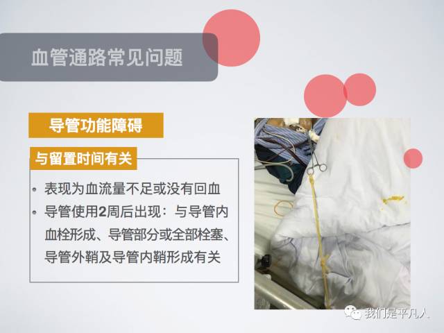 血透净化标准操作规程,血透护理科普怎么完成