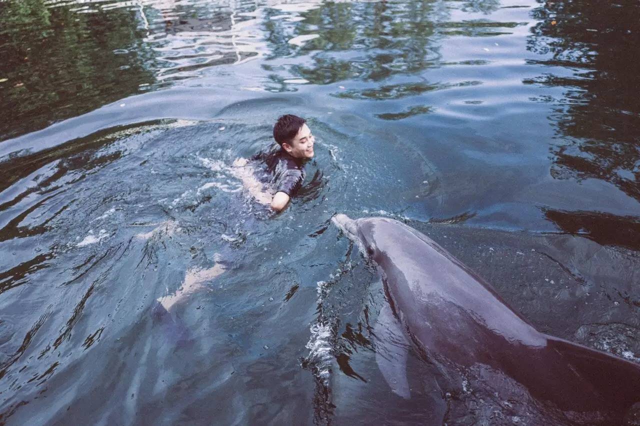 阳光之州是美国哪个州,阳光之州佛罗里达