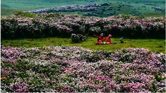 刚好遇见你，我的乌蒙