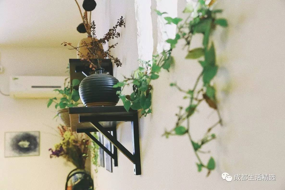 成都一条很破的美食街,成都市内的十大美食街