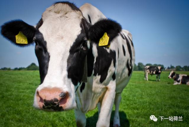 离开纽约前要做的30件事,离开之前做一件有意义的事