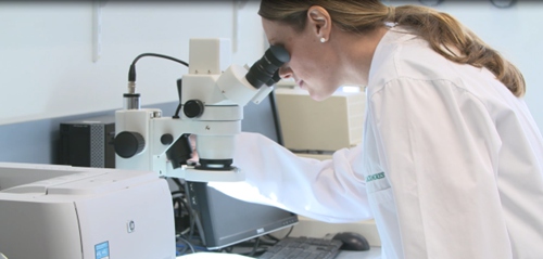 澳佳宝blackmores真假辨别,澳洲大药房澳佳宝blackmores