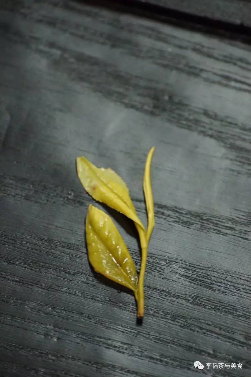 溧阳白茶：天目湖的一泓净水