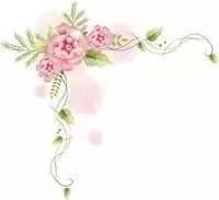 围产期的临床合理用药（上）