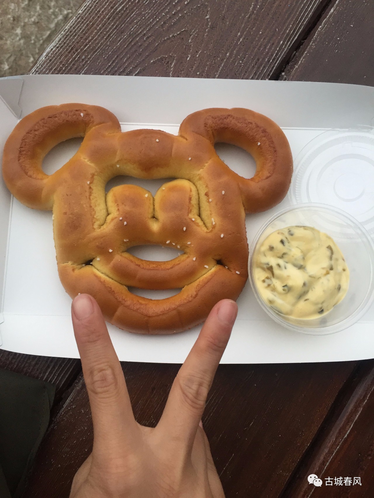 上海迪士尼一日游最佳游玩顺序,上海迪士尼一日游vlog