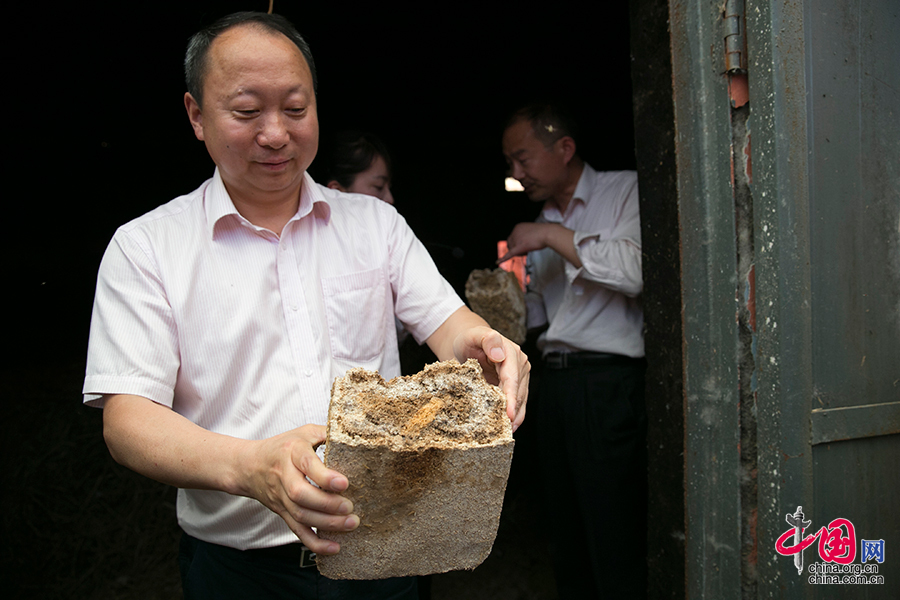 中国酿酒大师吴建峰,吴建峰获“中国酿酒大师”称号