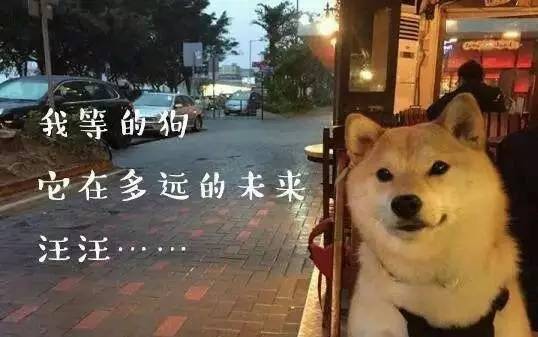 再上4天班就放假了吗,重庆放假最新通知