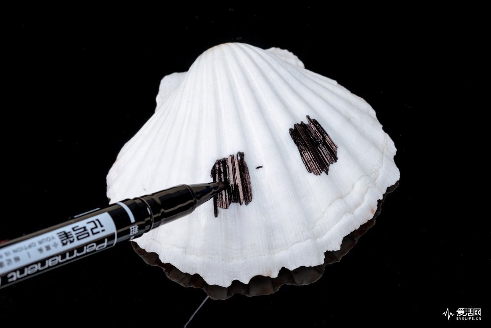 飞利浦和欧乐b电动牙刷哪个好,欧乐b与飞利浦电动牙刷哪个好