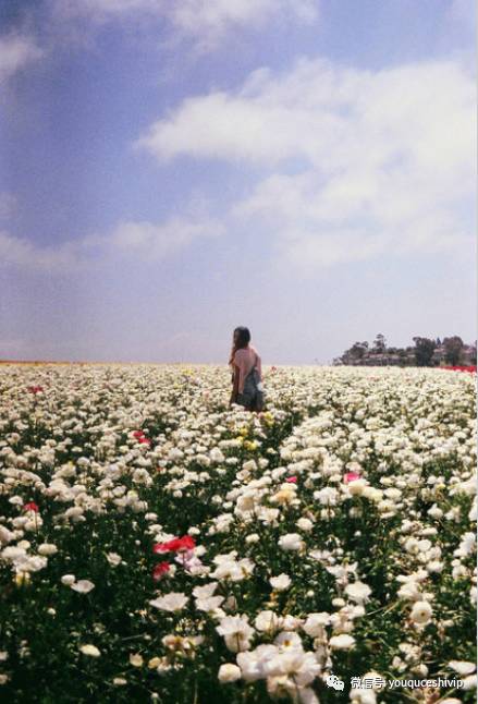 双子座的脾气爆发时可怕吗,双子座脾气上来会怎样