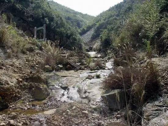 石帝田黄鉴赏,真品田黄的真假识别与收藏价值