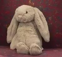 上万悉尼网友各显神通，只为找到这只玩偶兔的主人……