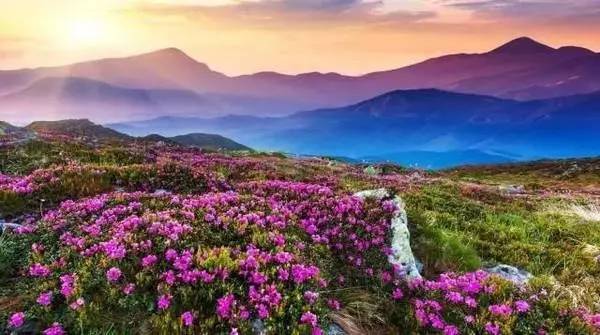 再上4天班就放假了吗,重庆放假最新通知