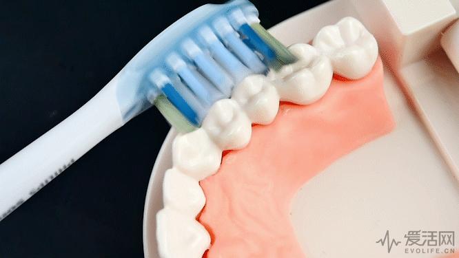 飞利浦和欧乐b电动牙刷哪个好,欧乐b与飞利浦电动牙刷哪个好