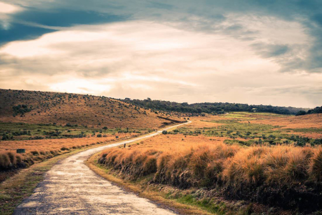 斯里兰卡宝石黄宝石,斯里兰卡印度宝石