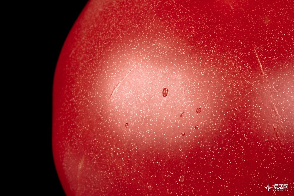 飞利浦和欧乐b电动牙刷哪个好,欧乐b与飞利浦电动牙刷哪个好