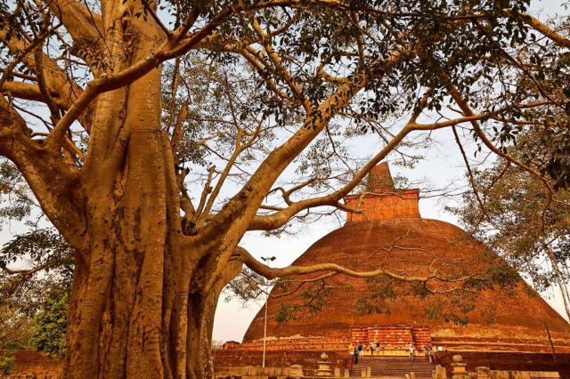 斯里兰卡宝石黄宝石,斯里兰卡印度宝石