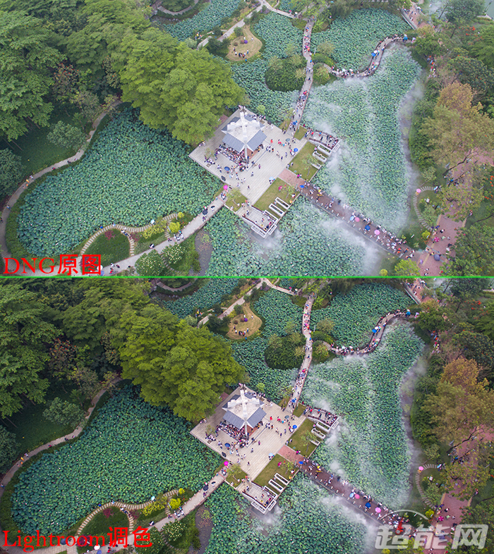 大疆无人机phantom3se新手,djiphantom3professional
