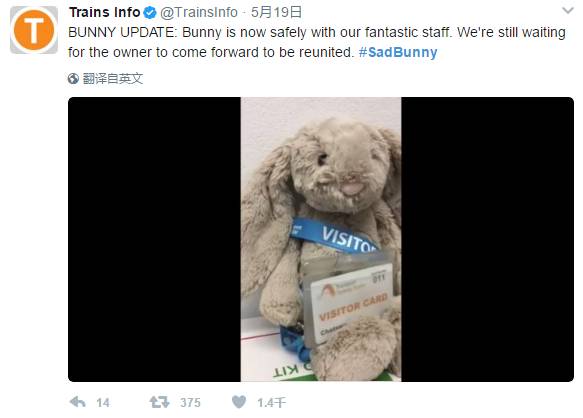 上万悉尼网友各显神通，只为找到这只玩偶兔的主人……