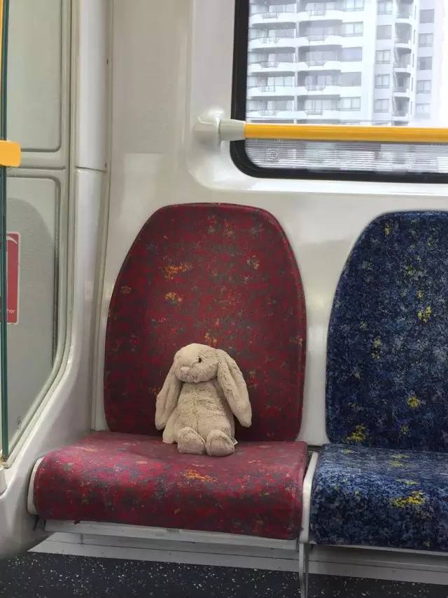 上万悉尼网友各显神通，只为找到这只玩偶兔的主人……