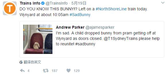 上万悉尼网友各显神通，只为找到这只玩偶兔的主人……