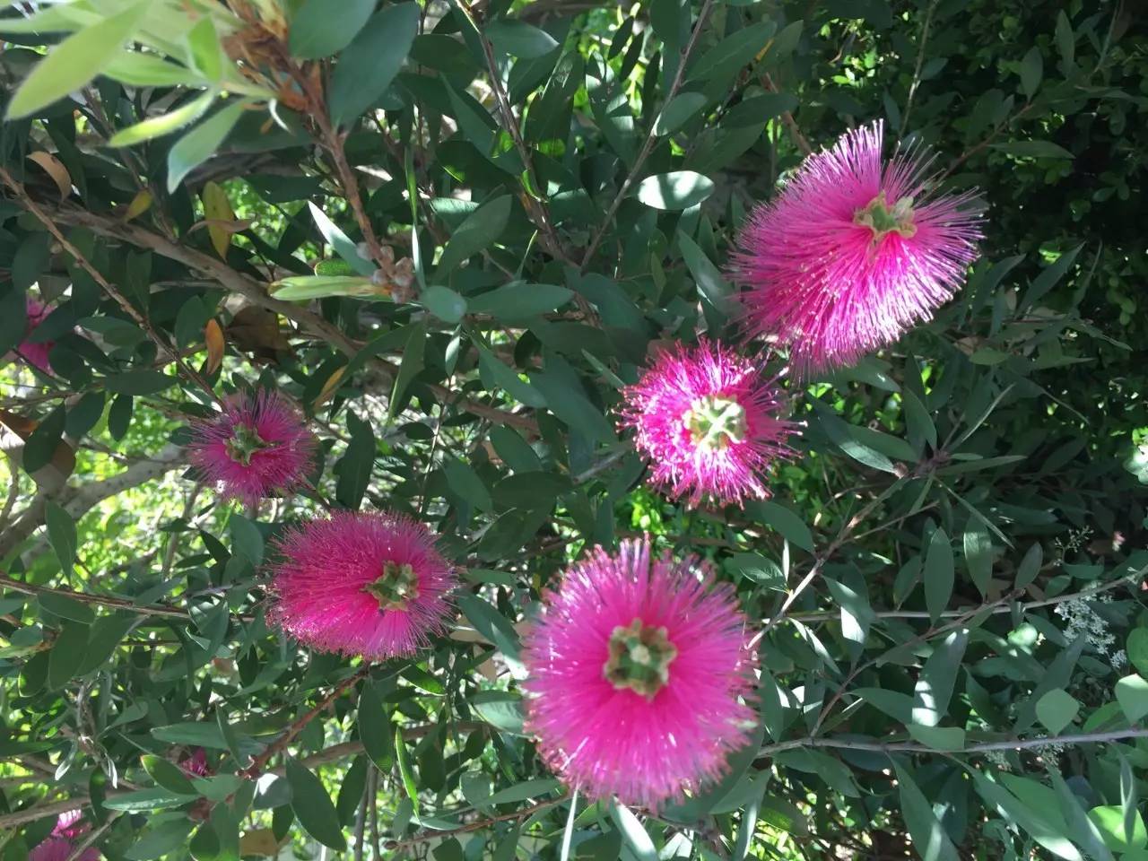 央企房子靠谱吗,央企的房子靠谱吗