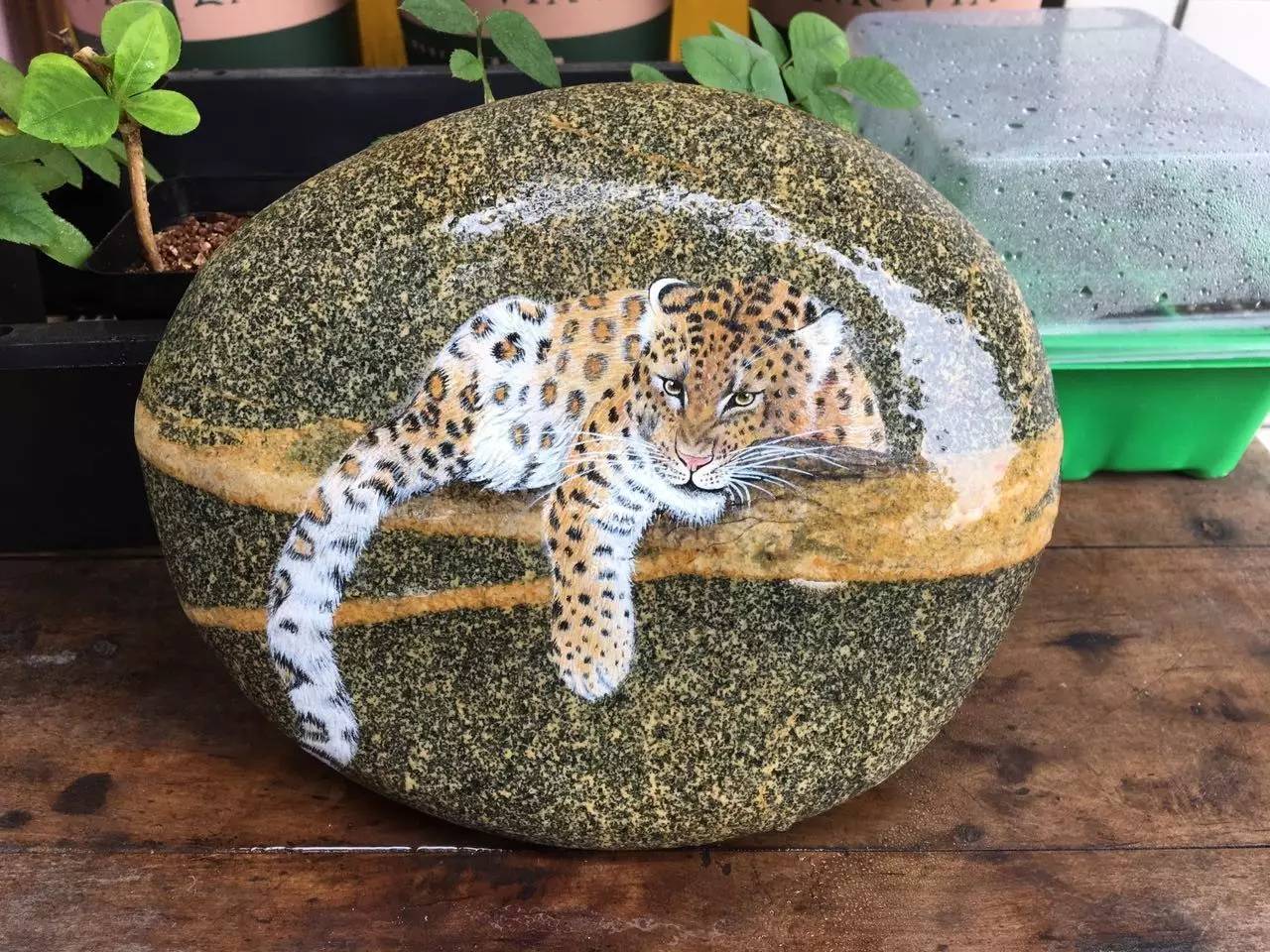 零基础学手绘石头画,手绘之家图片