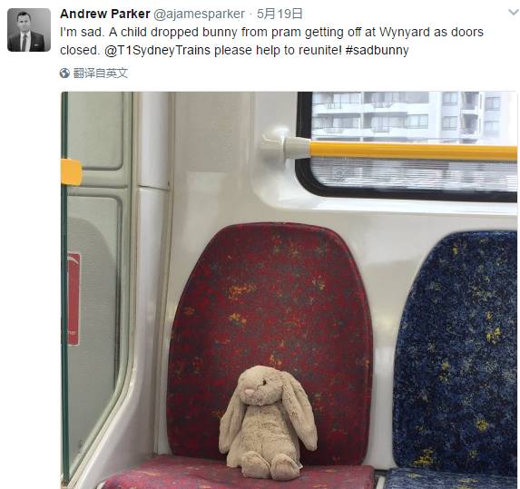 上万悉尼网友各显神通，只为找到这只玩偶兔的主人……