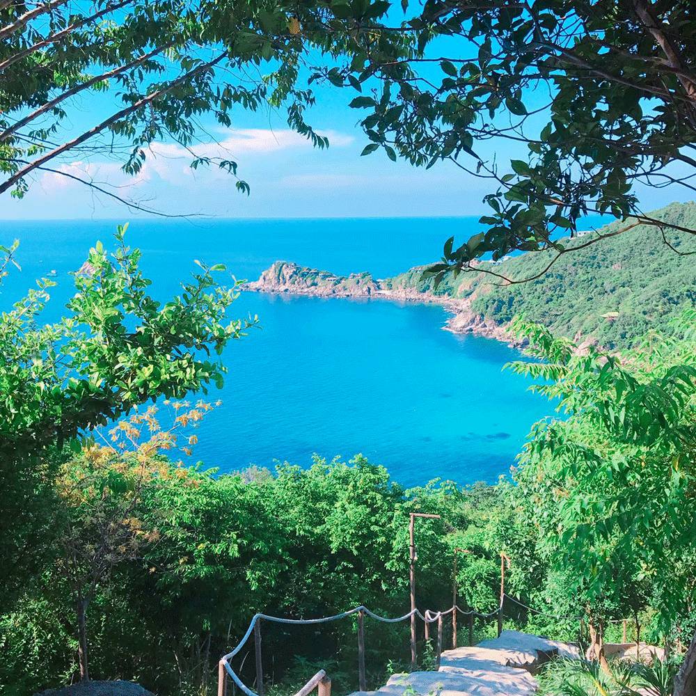 温雅｜去世界的另一端看看！涛岛游