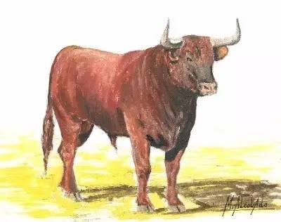 这只旷野露JJ黑牛是如何逆袭成西班牙文化符号的?认识板鸭圣斗牛