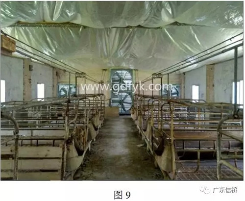 中暑造成死亡原因,中暑的表现和怀孕初期症状