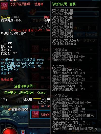 dnf女圣职异界套,dnf女圣职天空套大全