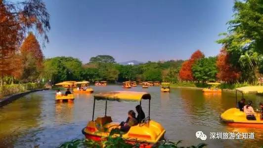 十年前的深圳求水山公园,深圳求水山公园观光图