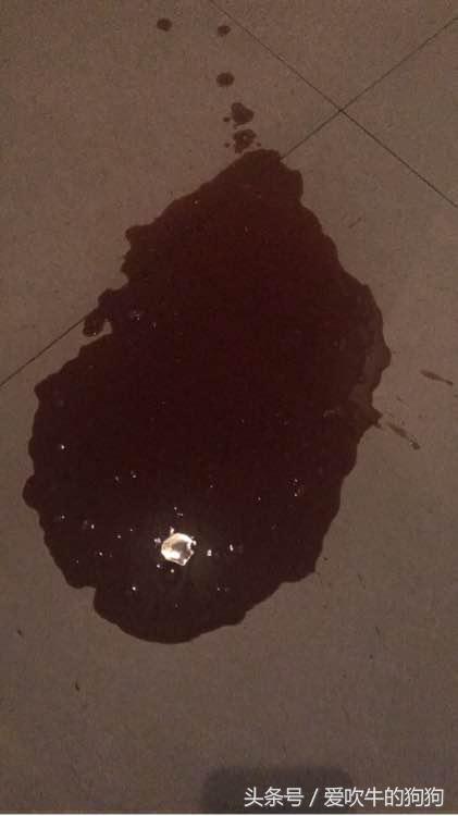 细小治愈过程,治疗细小的过程为什么那么痛苦