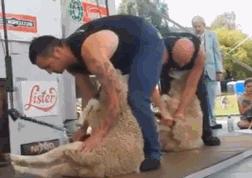 儿子等待父母回来过年,儿子还没几天就要回家探亲