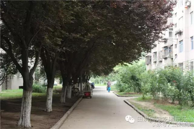 西安最好看灞桥风景,西安灞桥美丽的风景线