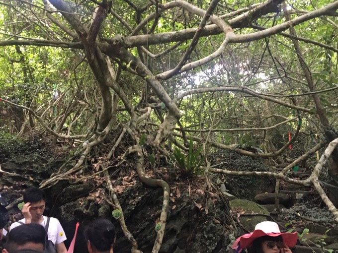 两个快乐的小阿妹神游三亚