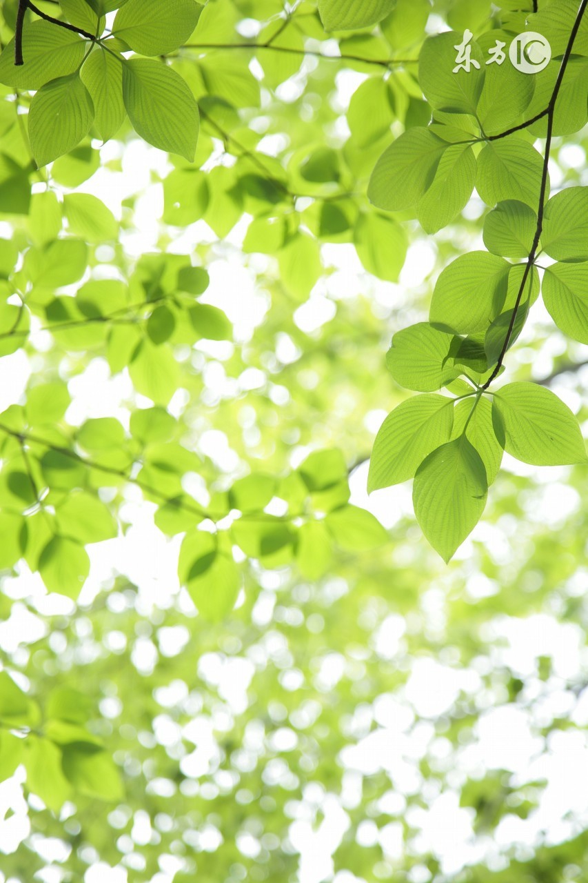 中风脑梗塞怎样康复,急性脑梗塞患者康复