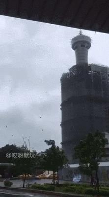 被蜜蜂蛰是什么感觉,被蜜蜂蛰了一下发现是触电的感觉