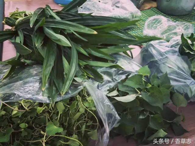 泰国菜市场有什么香料 (泰国菜市场买什么香料)