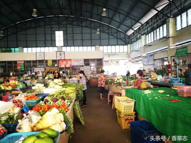 泰国菜市场有什么香料 (泰国菜市场买什么香料)